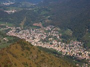 41 Serina